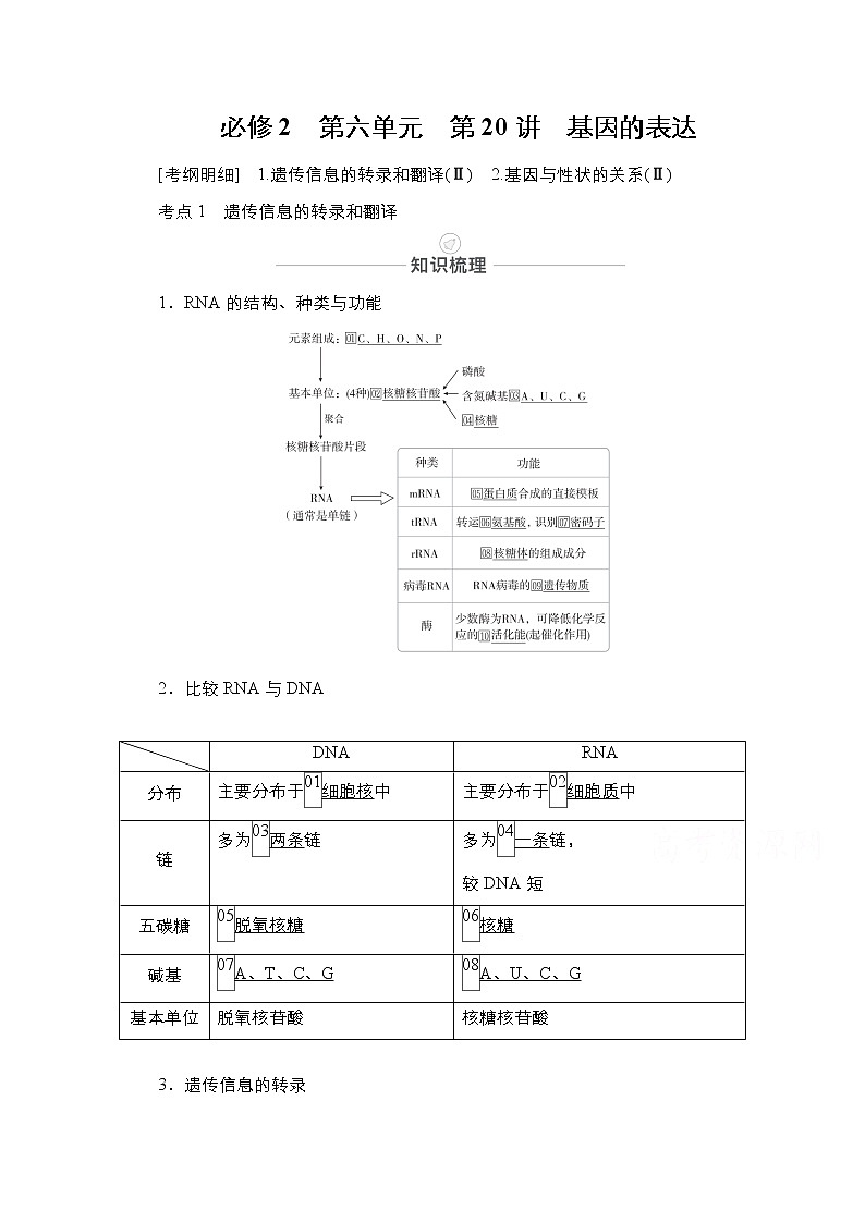 2021届高考生物人教版一轮创新教学案：第6单元第20讲基因的表达01