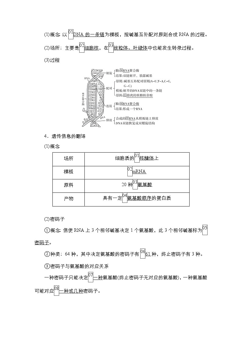 2021届高考生物人教版一轮创新教学案：第6单元第20讲基因的表达02