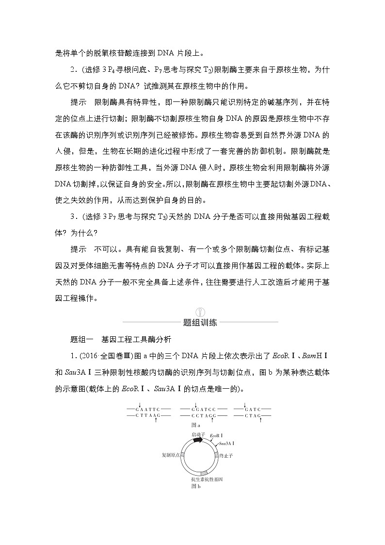 2021届高考生物人教版一轮创新教学案：第10单元第34讲　基因工程第3页