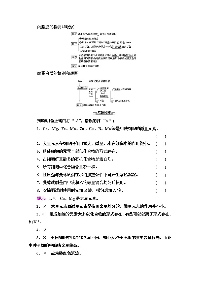 （新）人教版必修1学案：第2章 第1节　细胞中的元素和化合物（含解析）03