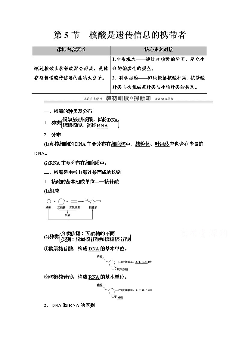 （新）人教版必修1学案：第2章 第5节　核酸是遗传信息的携带者（含解析）01