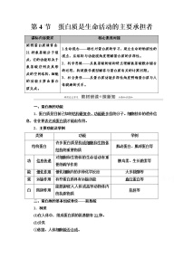 高中生物人教版 (2019)必修1《分子与细胞》第4节 蛋白质是生命活动的主要承担者导学案