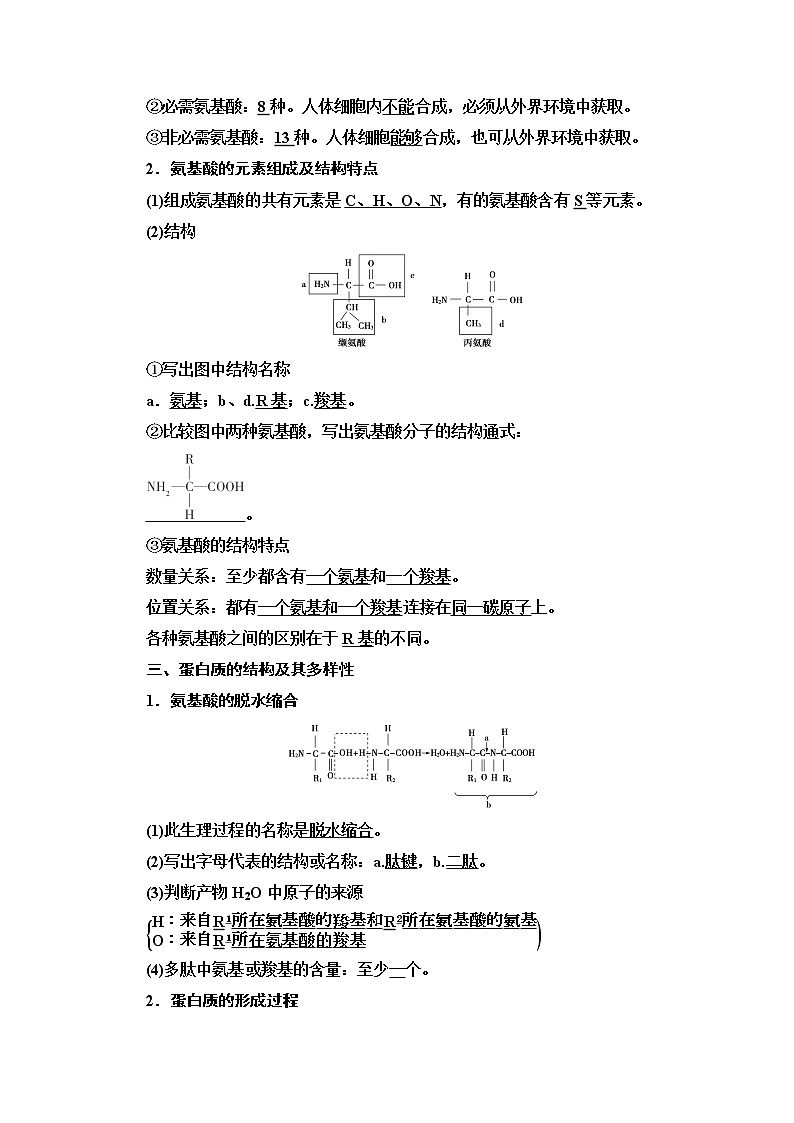 （新）人教版必修1学案：第2章 第4节　蛋白质是生命活动的主要承担者（含解析）02