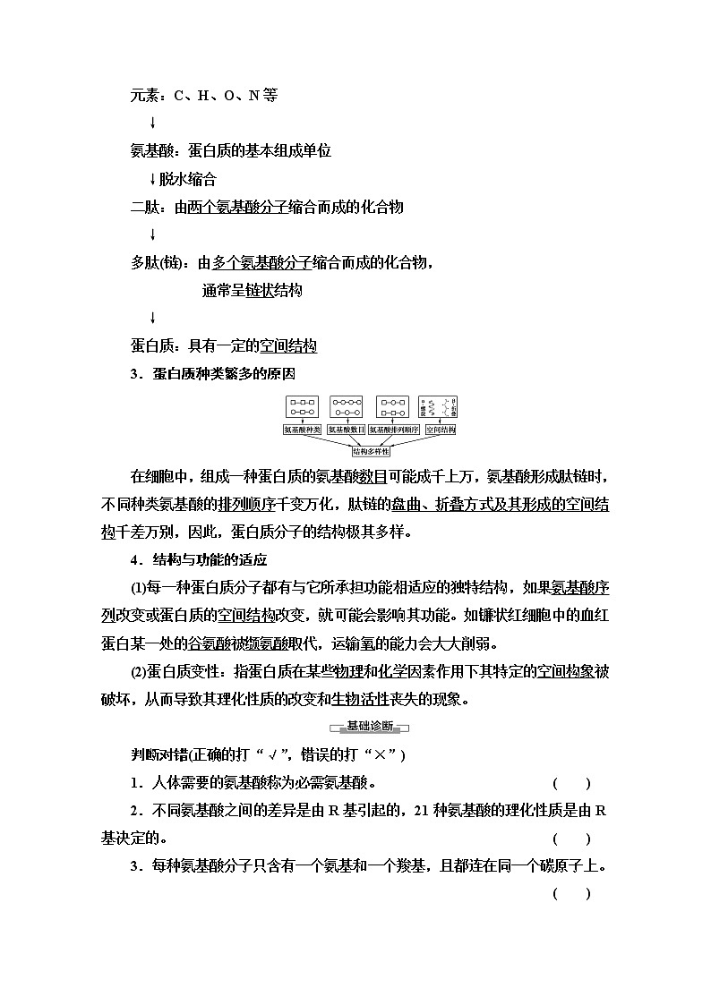 （新）人教版必修1学案：第2章 第4节　蛋白质是生命活动的主要承担者（含解析）03