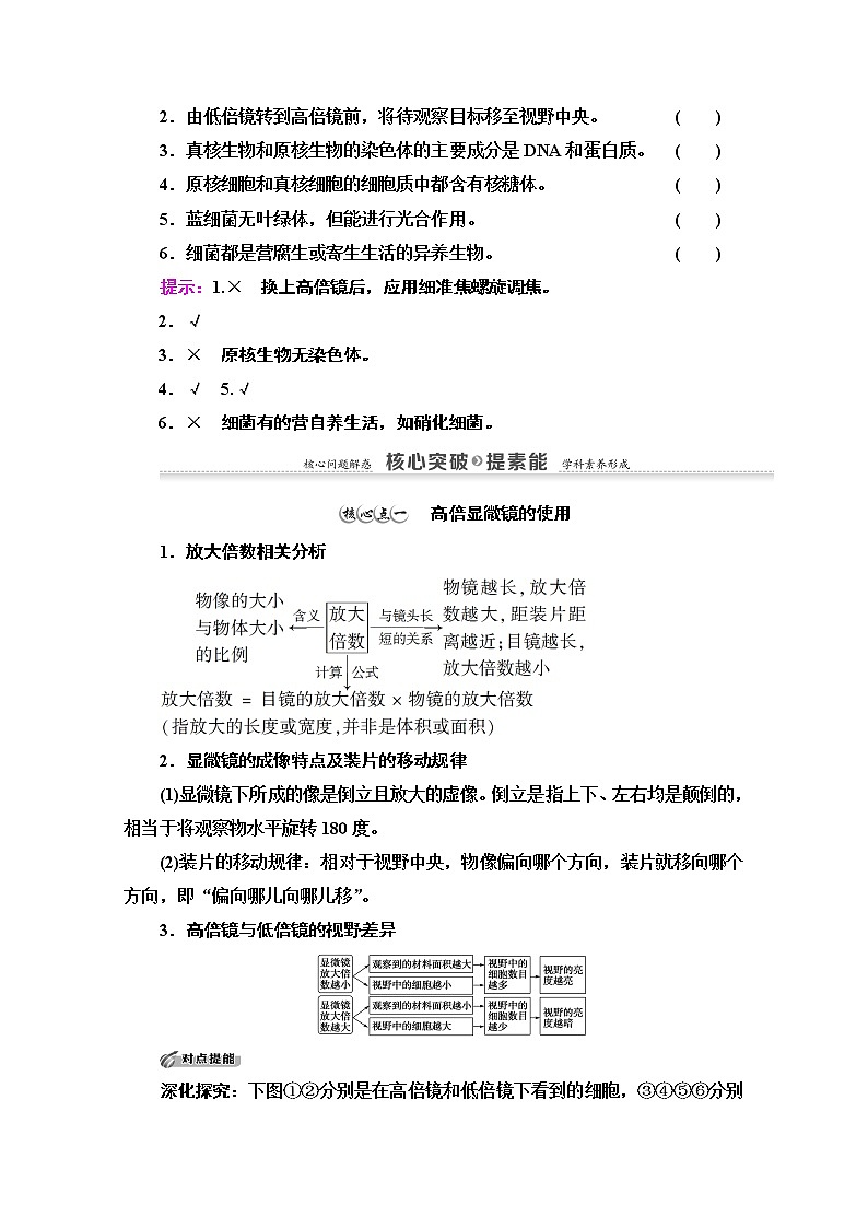 （新）人教版必修1学案：第1章 第2节　细胞的多样性和统一性（含解析）03