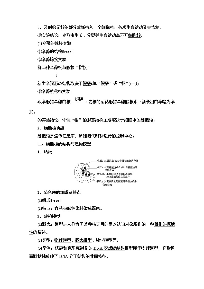 （新）人教版必修1学案：第3章 第3节　细胞核的结构和功能（含解析）02