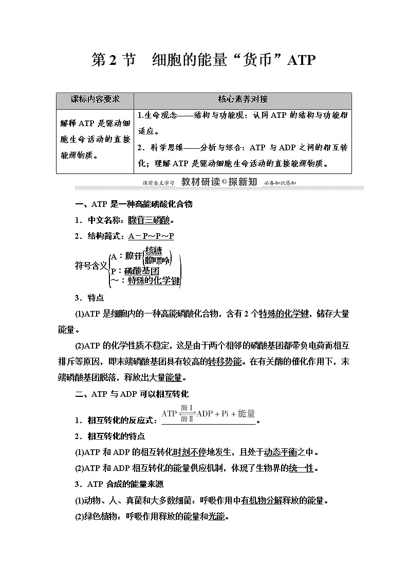 （新）人教版必修1学案：第5章 第2节　细胞的能量“货币”ATP（含解析）01