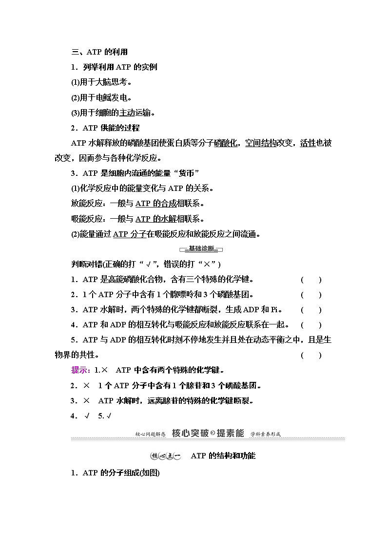 （新）人教版必修1学案：第5章 第2节　细胞的能量“货币”ATP（含解析）02