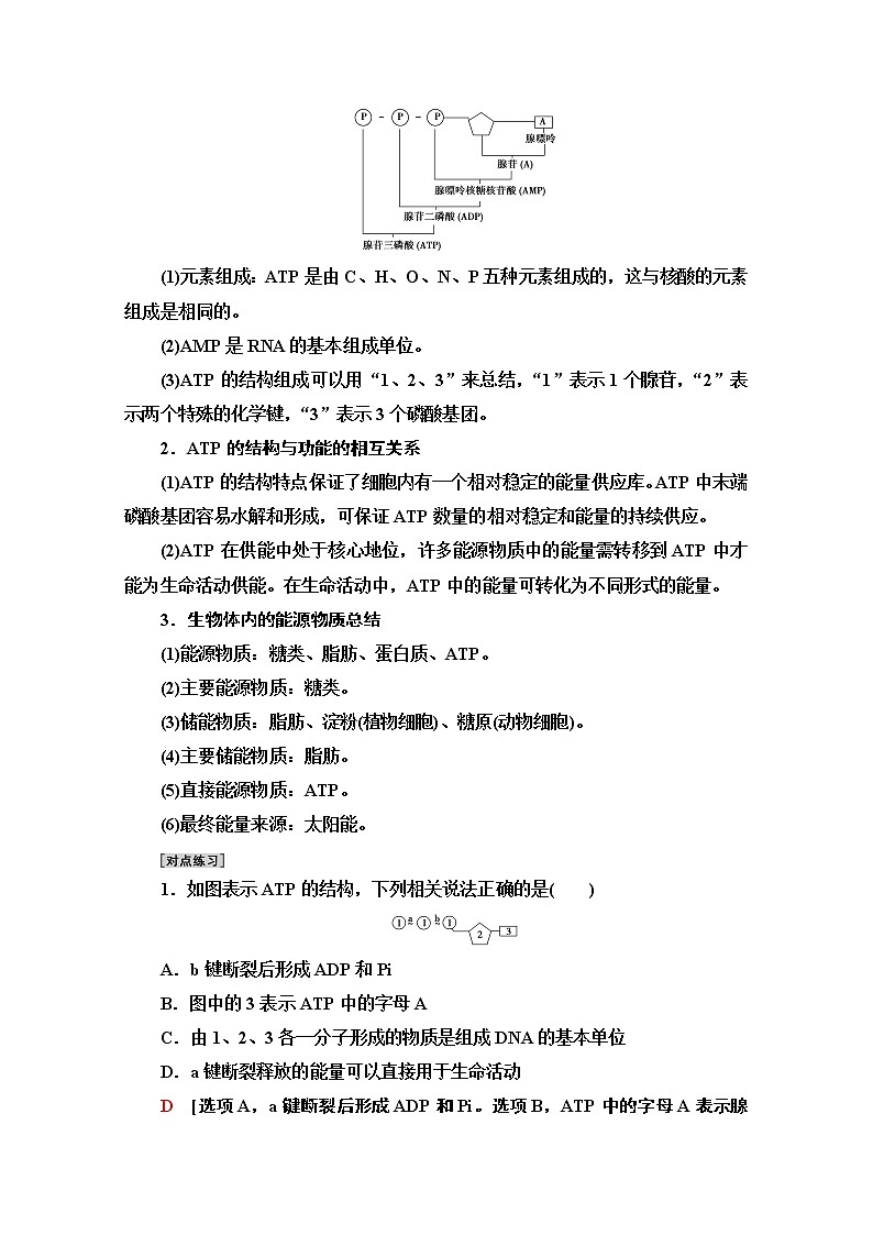 （新）人教版必修1学案：第5章 第2节　细胞的能量“货币”ATP（含解析）03