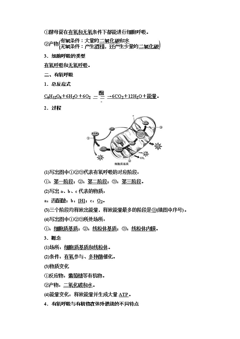 （新）人教版必修1学案：第5章 第3节 第1课时　细胞呼吸的方式及有氧呼吸（含解析）02