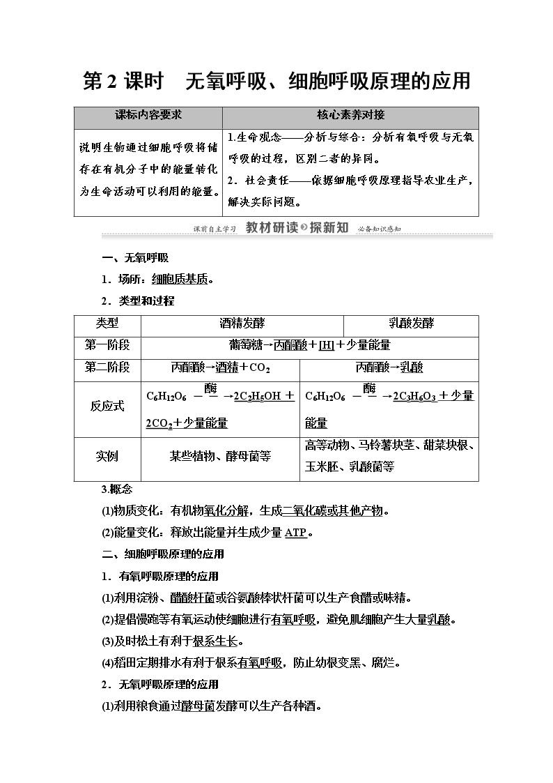 （新）人教版必修1学案：第5章 第3节 第2课时　无氧呼吸、细胞呼吸原理的应用（含解析）01