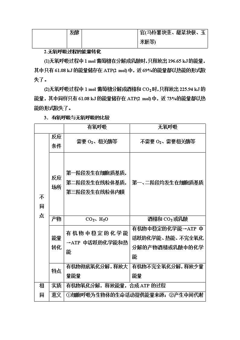 （新）人教版必修1学案：第5章 第3节 第2课时　无氧呼吸、细胞呼吸原理的应用（含解析）03