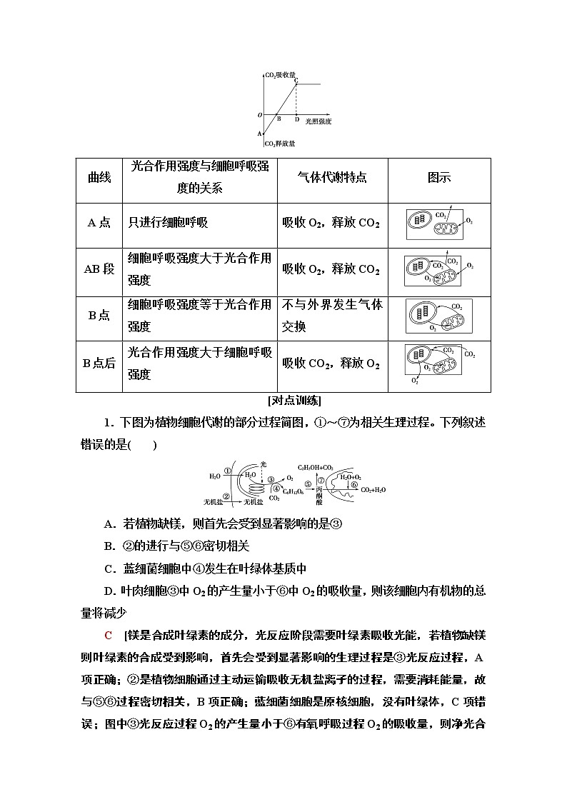 （新）人教版必修1学案：第5章 素能提升课　光合作用和细胞呼吸过程的综合（含解析）02