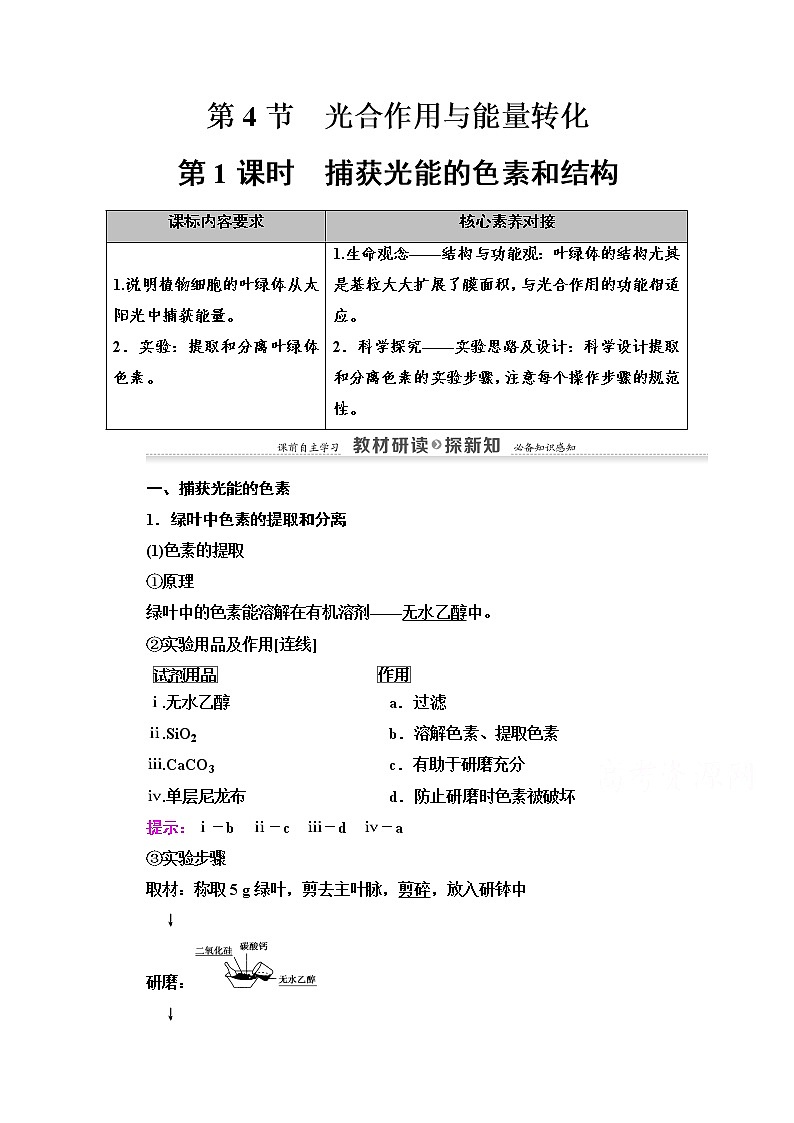 （新）人教版必修1学案：第5章 第4节 第1课时　捕获光能的色素和结构（含解析）01