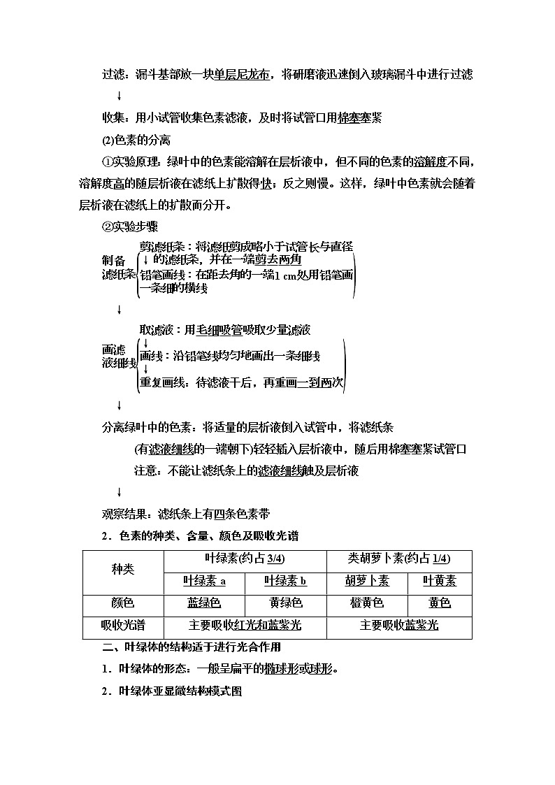 （新）人教版必修1学案：第5章 第4节 第1课时　捕获光能的色素和结构（含解析）02
