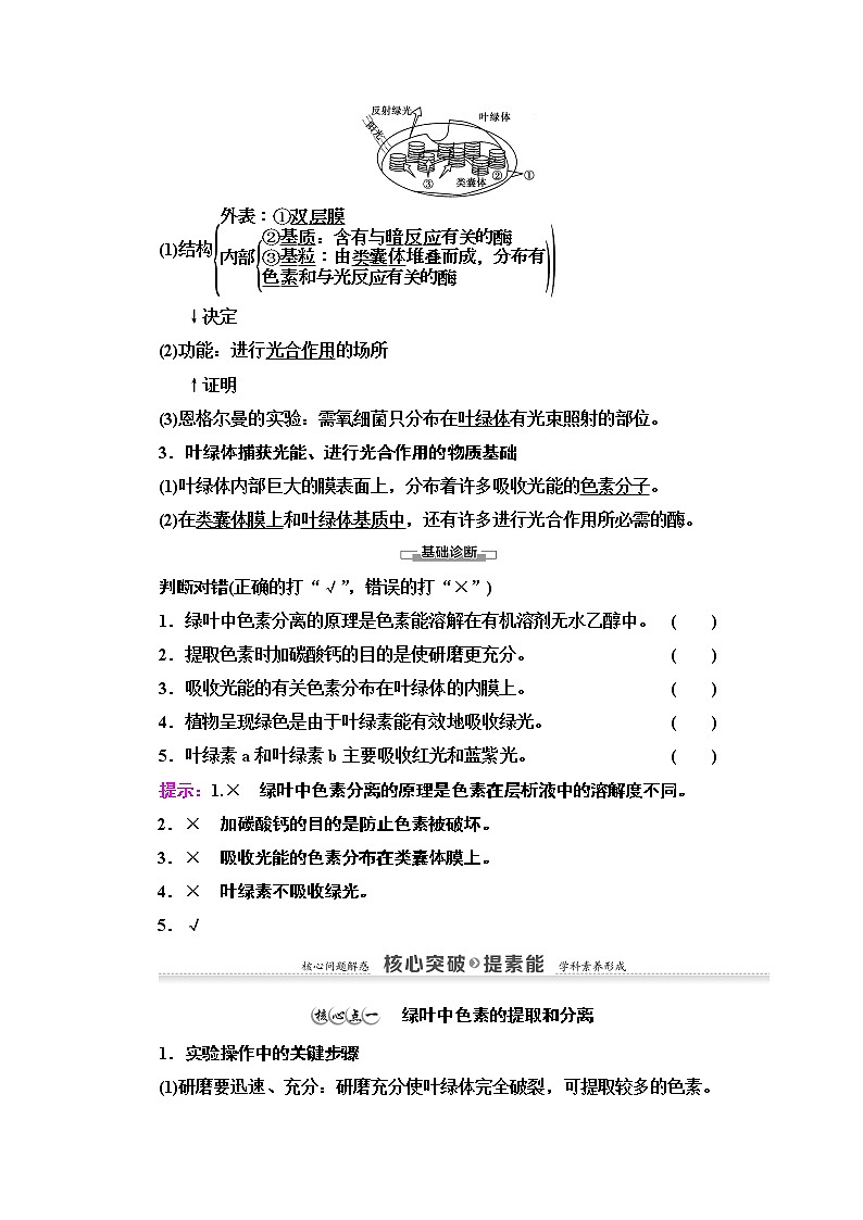 （新）人教版必修1学案：第5章 第4节 第1课时　捕获光能的色素和结构（含解析）03