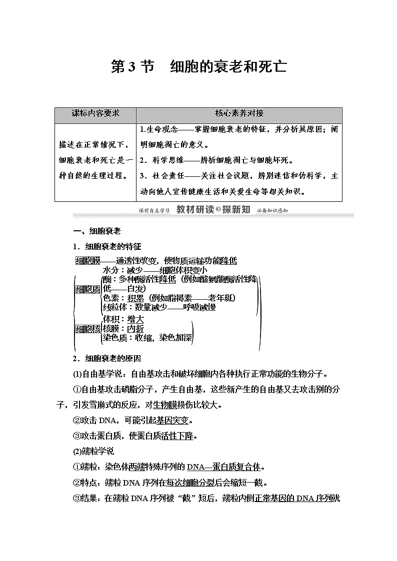 （新）人教版必修1学案：第6章 第3节　细胞的衰老和死亡（含解析）01