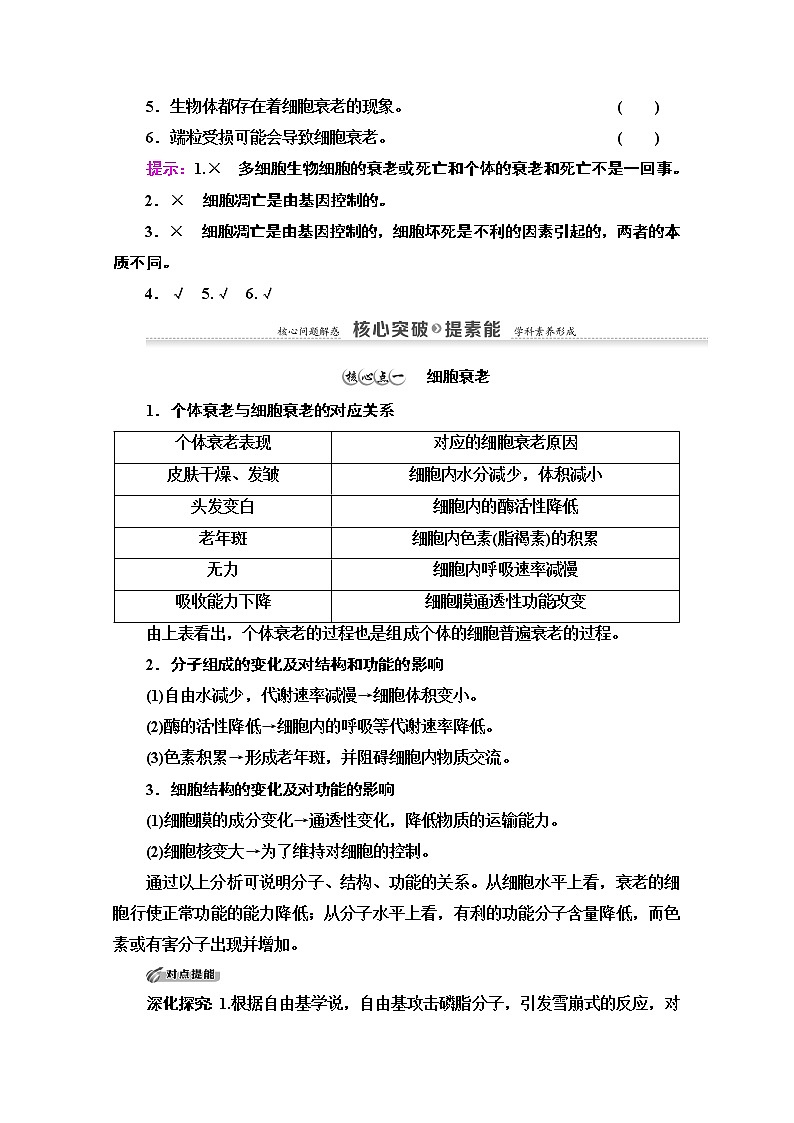 （新）人教版必修1学案：第6章 第3节　细胞的衰老和死亡（含解析）03