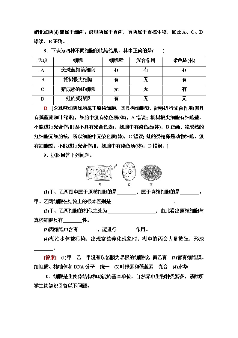 （新）人教版必修1课时分层作业：1.2　细胞的多样性和统一性（含解析） 练习03