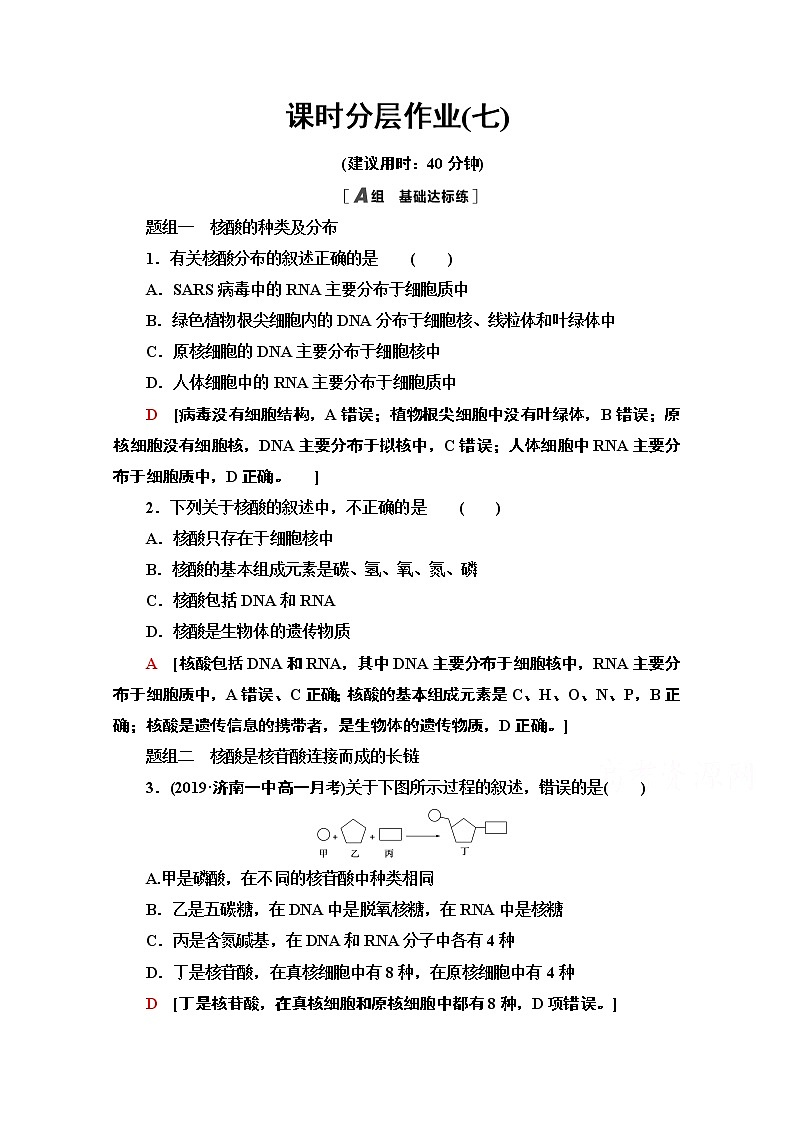 （新）人教版必修1课时分层作业：2.5　核酸是遗传信息的携带者（含解析） 练习01