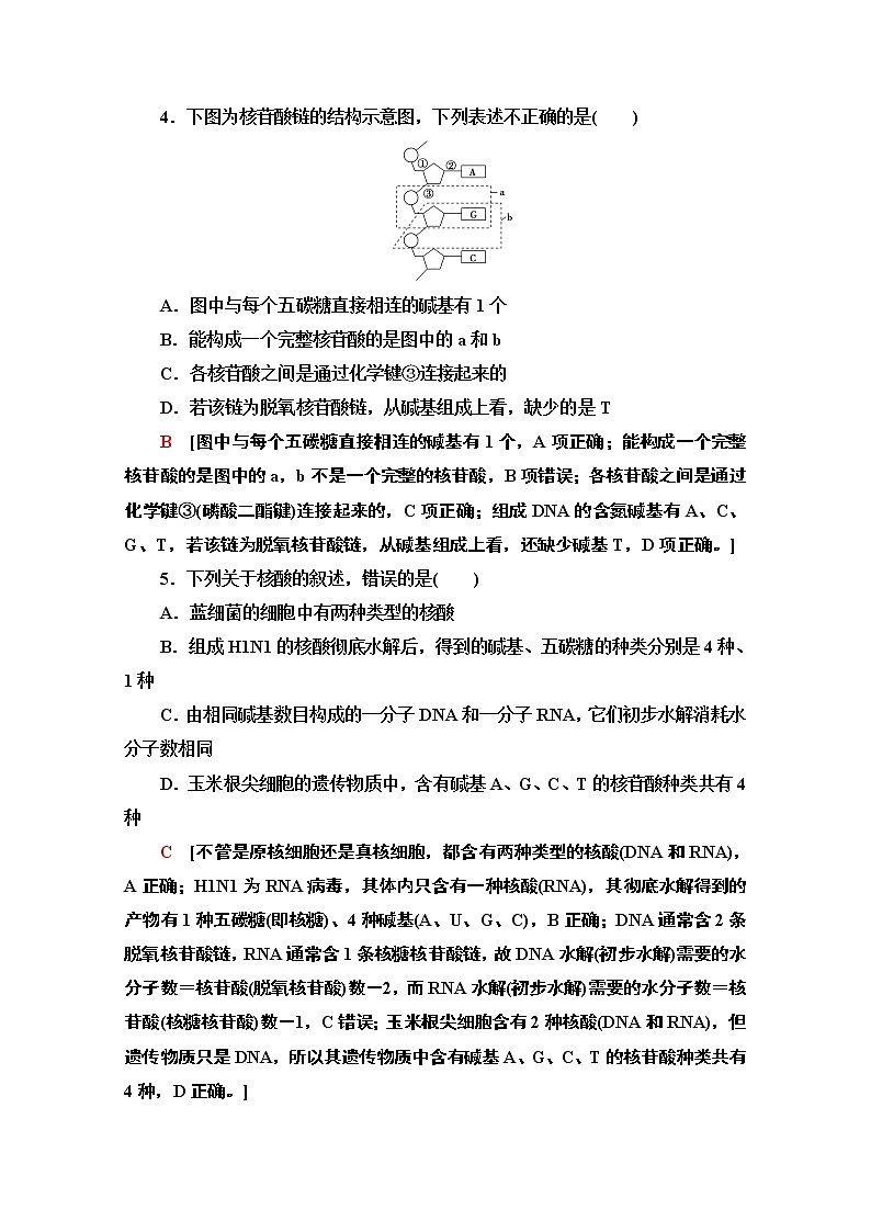 （新）人教版必修1课时分层作业：2.5　核酸是遗传信息的携带者（含解析） 练习02