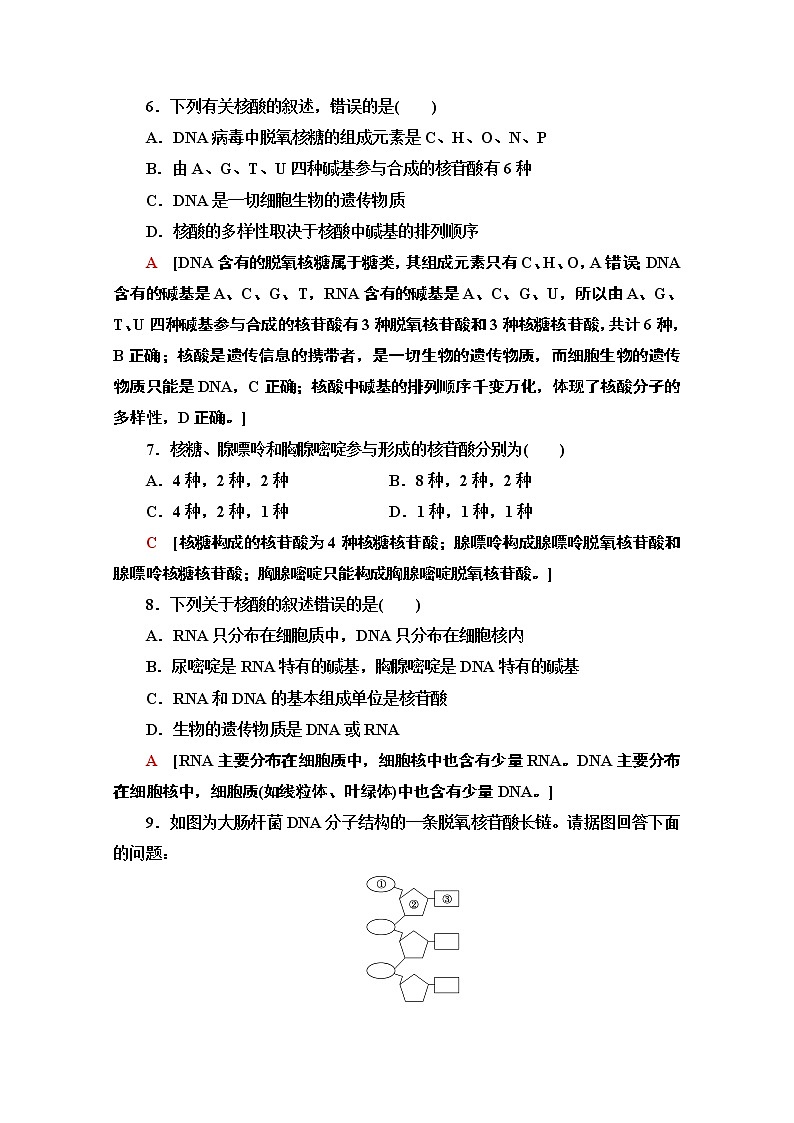 （新）人教版必修1课时分层作业：2.5　核酸是遗传信息的携带者（含解析） 练习03