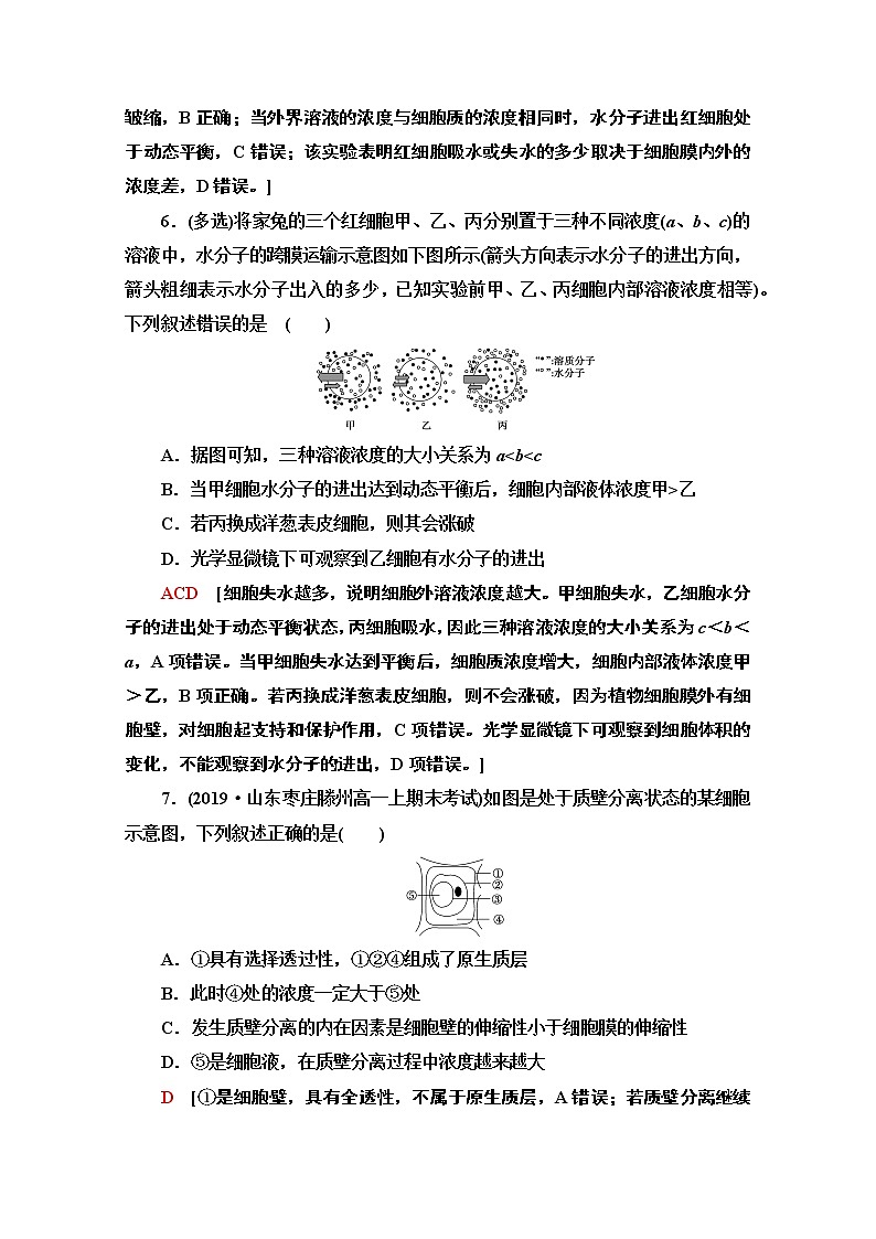 （新）人教版必修1课时分层作业：4.1.1　细胞吸水和失水（含解析） 练习03