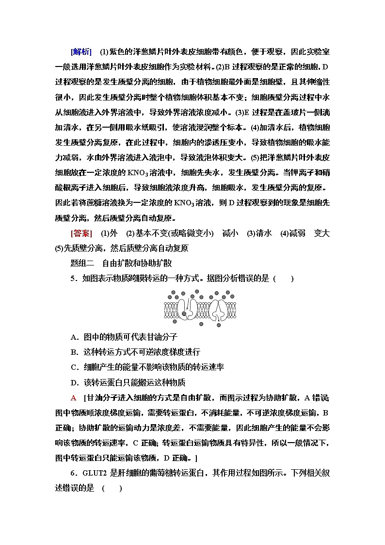 （新）人教版必修1课时分层作业：4.1.2　探究植物细胞的吸水和失水与被动运输（含解析） 练习03