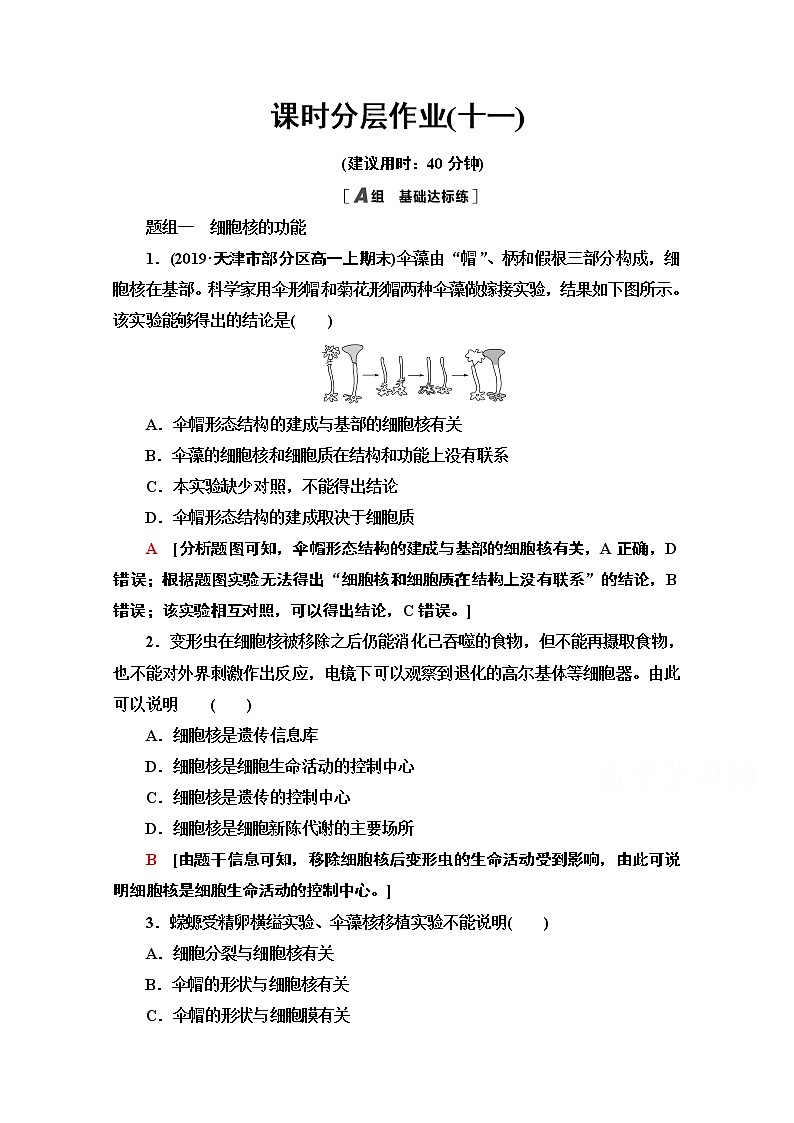 （新）人教版必修1课时分层作业：3.3　细胞核的结构和功能（含解析） 练习01