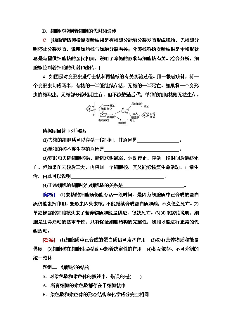 （新）人教版必修1课时分层作业：3.3　细胞核的结构和功能（含解析） 练习02