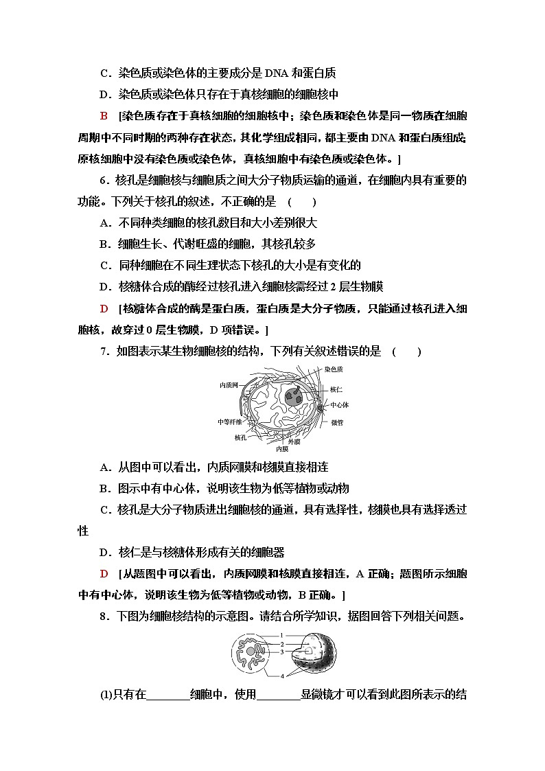 （新）人教版必修1课时分层作业：3.3　细胞核的结构和功能（含解析） 练习03