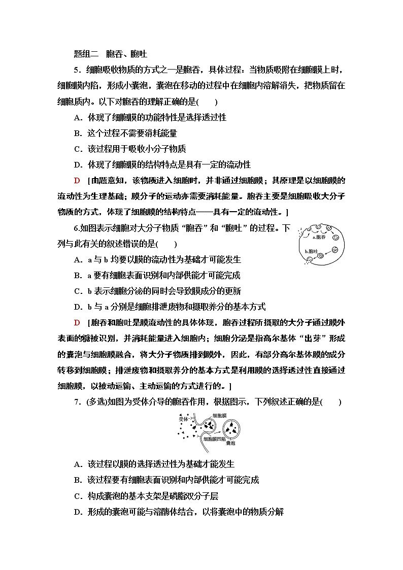 （新）人教版必修1课时分层作业：4.2　主动运输与胞吞、胞吐（含解析） 练习03