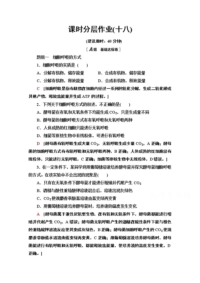 （新）人教版必修1课时分层作业：5.3.1　细胞呼吸的方式及有氧呼吸（含解析） 练习01