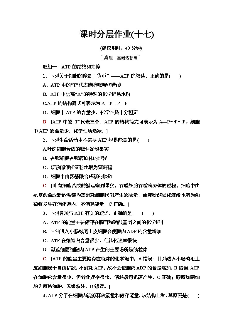 （新）人教版必修1课时分层作业：5.2　细胞的能量“货币”ATP（含解析） 练习01
