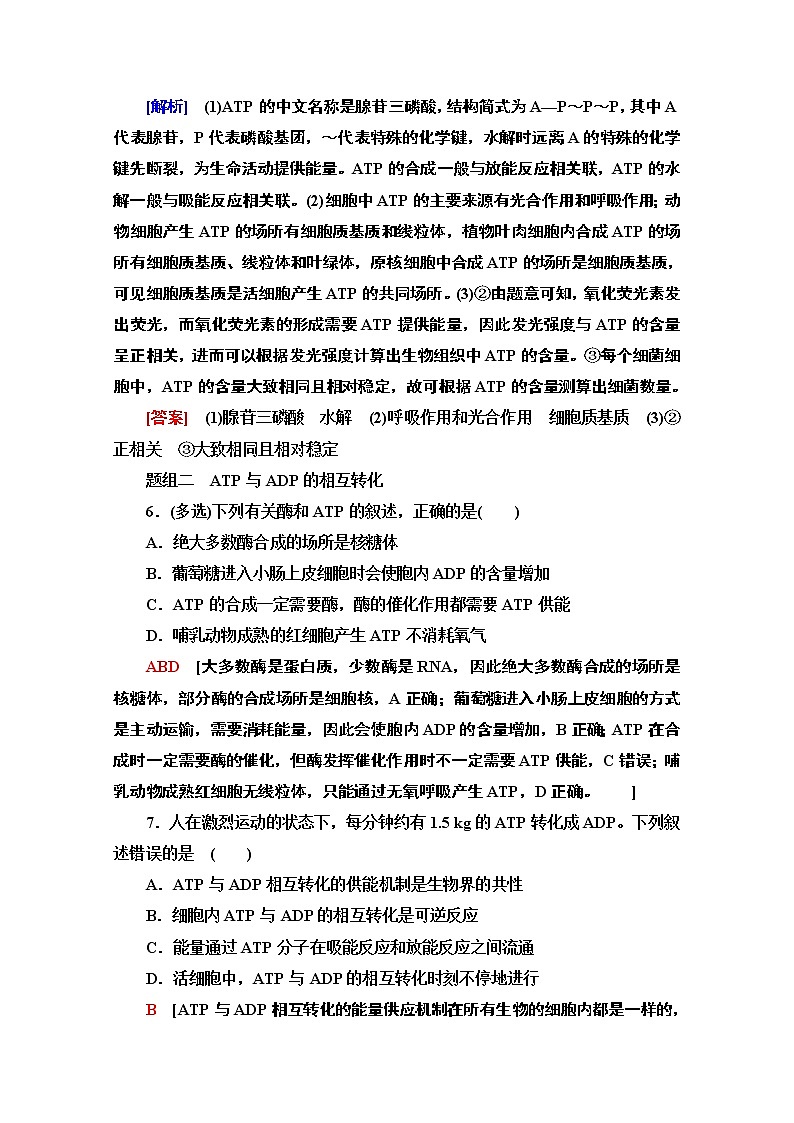 （新）人教版必修1课时分层作业：5.2　细胞的能量“货币”ATP（含解析） 练习03