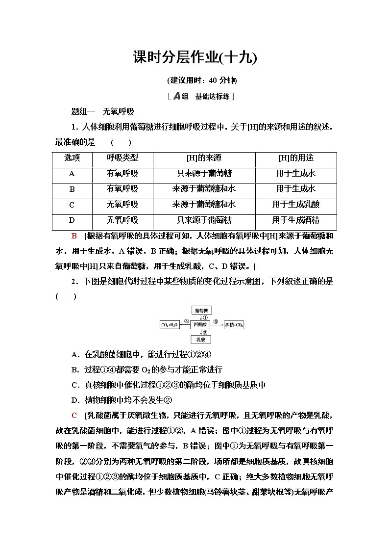 （新）人教版必修1课时分层作业：5.3.2　无氧呼吸、细胞呼吸原理的应用（含解析） 练习01
