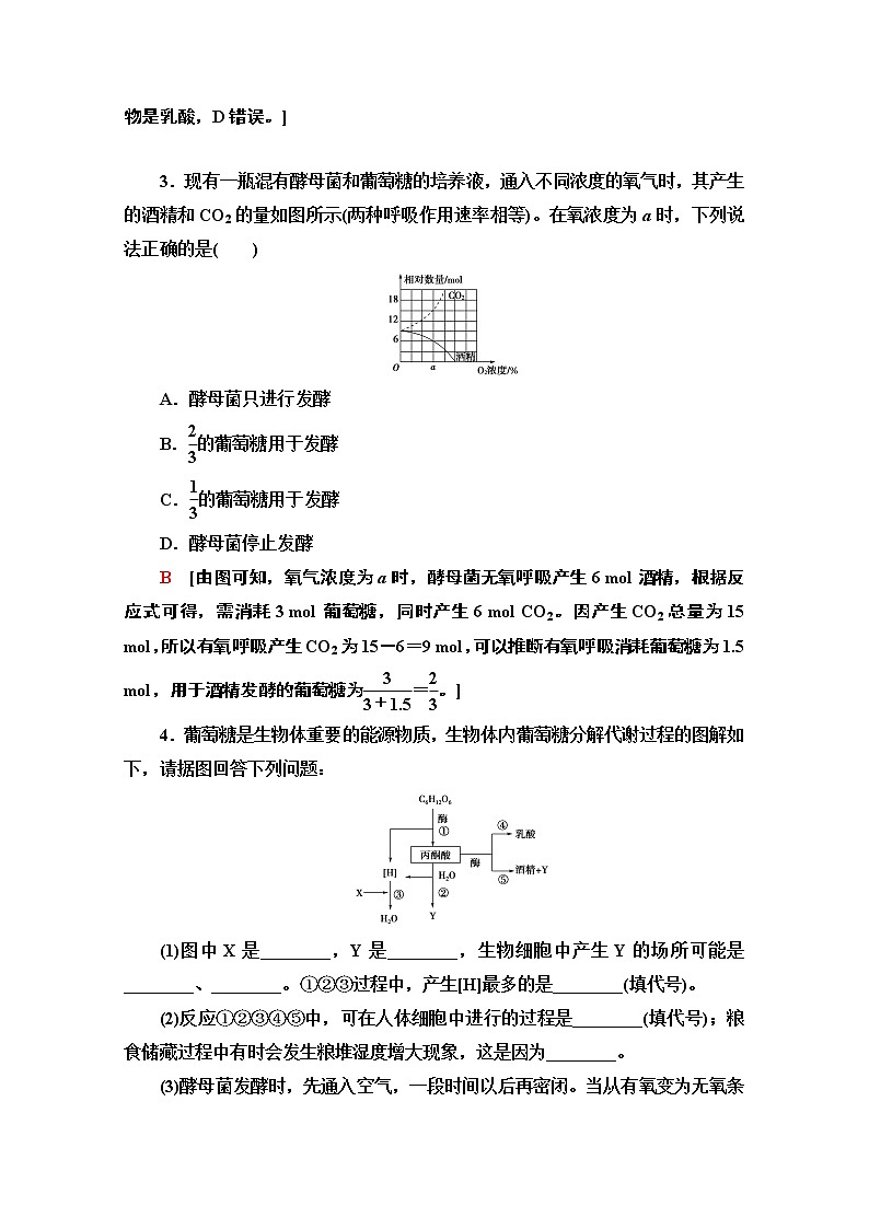 （新）人教版必修1课时分层作业：5.3.2　无氧呼吸、细胞呼吸原理的应用（含解析） 练习02