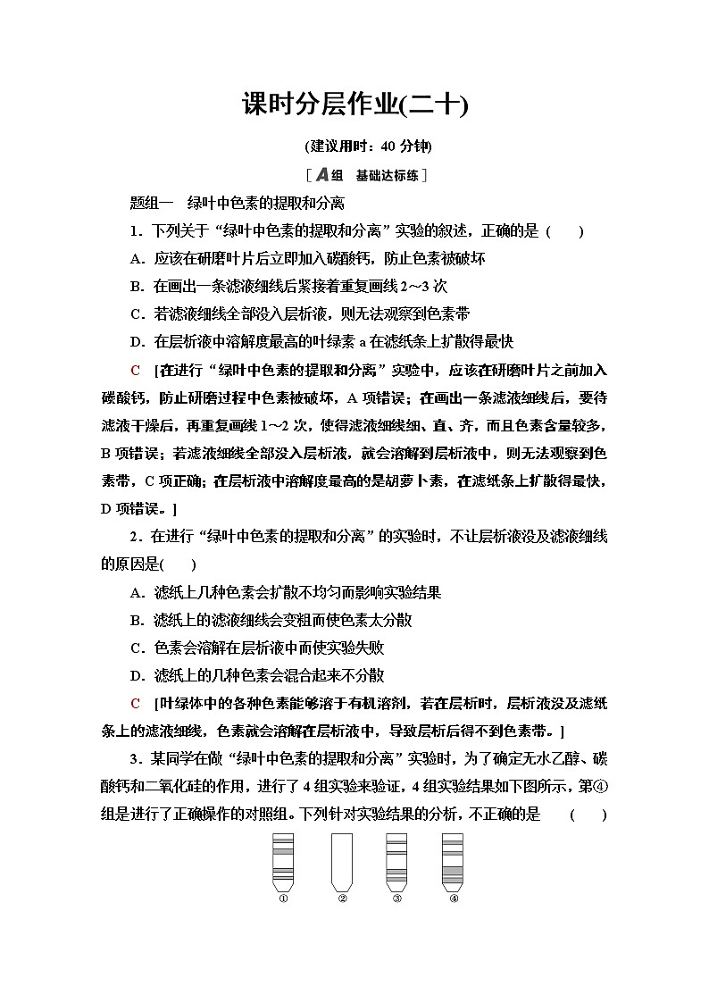 （新）人教版必修1课时分层作业：5.4.1　捕获光能的色素和结构（含解析） 练习01