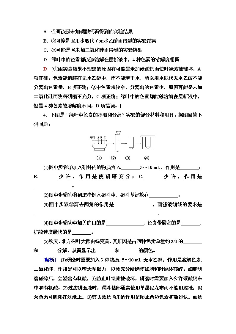 （新）人教版必修1课时分层作业：5.4.1　捕获光能的色素和结构（含解析） 练习02