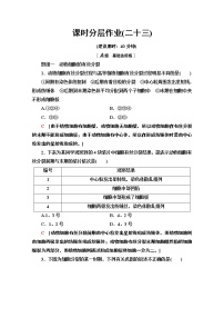 高中生物人教版 (2019)必修1《分子与细胞》第6章 细胞的生命历程第1节 细胞的增殖课时练习