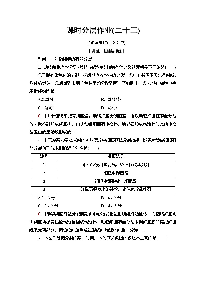 （新）人教版必修1课时分层作业：6.1.2　动物细胞的有丝分裂、观察根尖分生区组织细胞的有丝分裂（含解析） 练习01