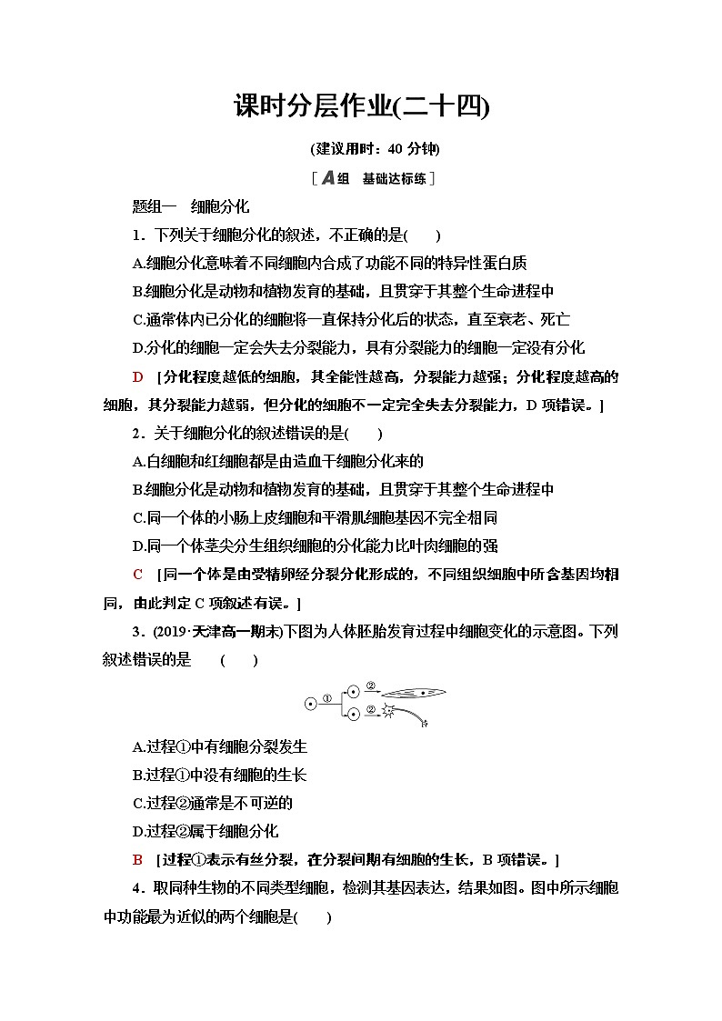 （新）人教版必修1课时分层作业：6.2　细胞的分化（含解析） 练习01