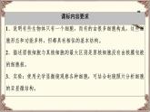 （新）人教版必修1：第1章 第2节　细胞的多样性和统一性 PPT课件