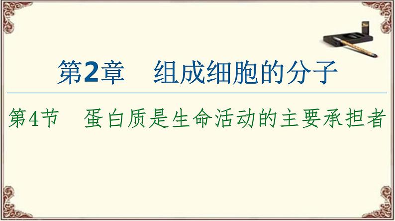 （新）人教版必修1：第2章 第4节　蛋白质是生命活动的主要承担者 PPT课件01