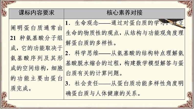 （新）人教版必修1：第2章 第4节　蛋白质是生命活动的主要承担者 PPT课件02