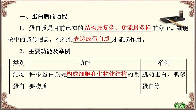 （新）人教版必修1：第2章 第4节　蛋白质是生命活动的主要承担者 PPT课件04