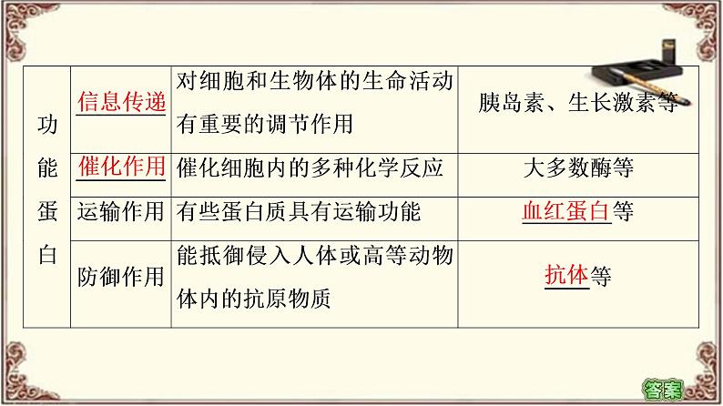 （新）人教版必修1：第2章 第4节　蛋白质是生命活动的主要承担者 PPT课件05