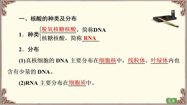 （新）人教版必修1：第2章 第5节　核酸是遗传信息的携带者 PPT课件04
