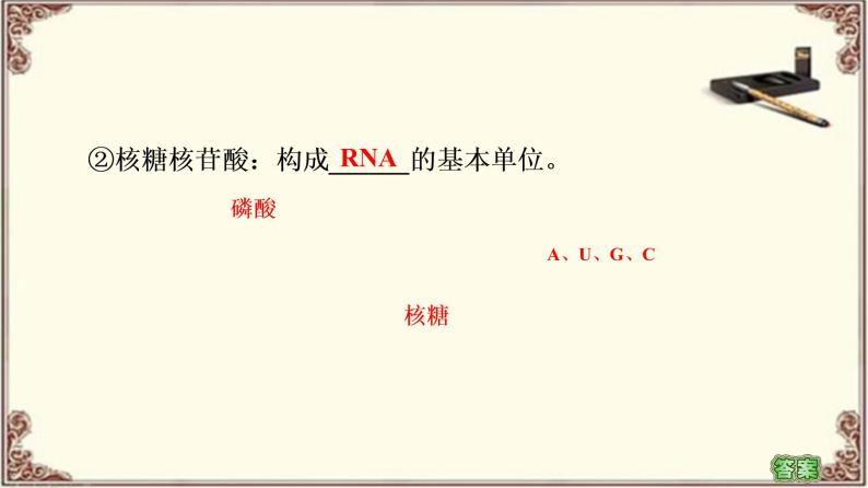 （新）人教版必修1：第2章 第5节　核酸是遗传信息的携带者 PPT课件07