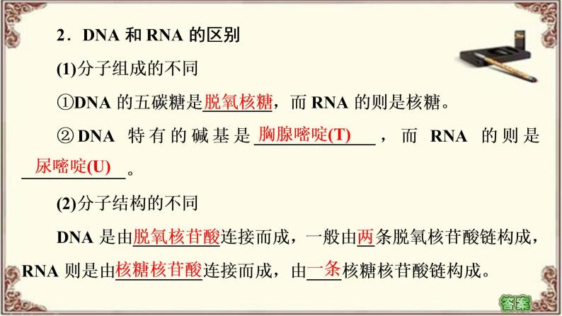 （新）人教版必修1：第2章 第5节　核酸是遗传信息的携带者 PPT课件08